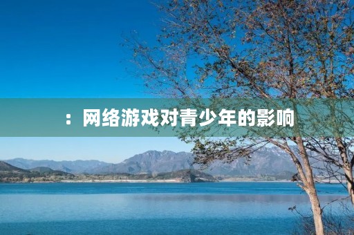 ：网络游戏对青少年的影响