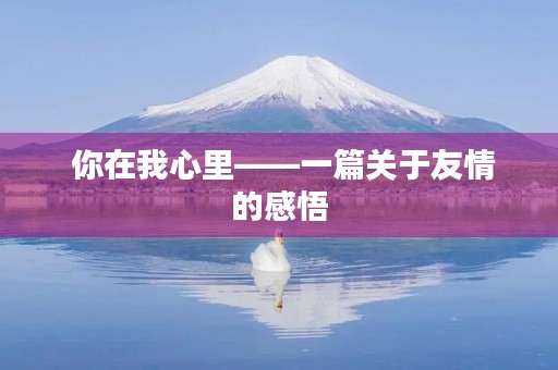  你在我心里——一篇关于友情的感悟