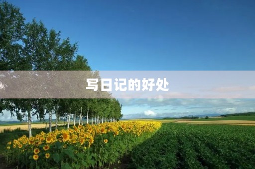 写日记的好处 写日记的好处