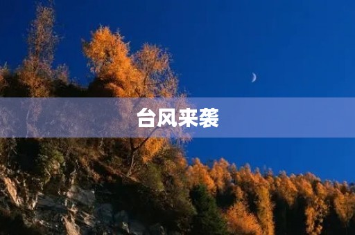 台风来袭,我们该如何应对? 台风来袭,我们该如何应对?