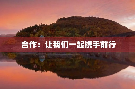 合作:让我们一起携手前行 合作:让我们一起携手前行
