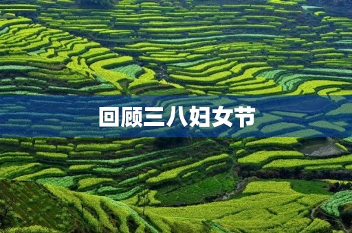  回顾三八妇女节，展望女性未来 