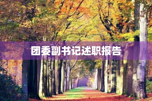团委副书记述职报告 团委副书记述职报告