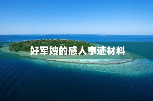  好军嫂的感人事迹材料