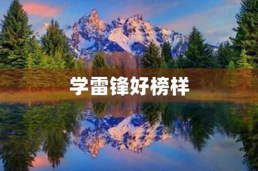  学雷锋好榜样，做一名优秀公民
