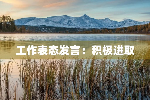  工作表态发言：积极进取，勇攀高峰