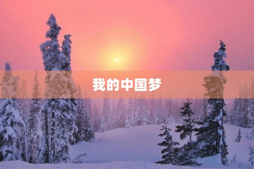  我的中国梦，我的未来