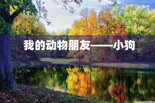 我的动物朋友——小狗 我的动物朋友——小狗