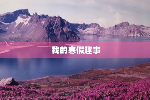  我的寒假趣事