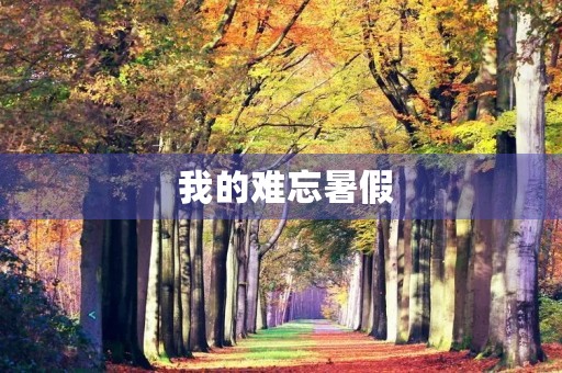 我的难忘暑假 我的难忘暑假