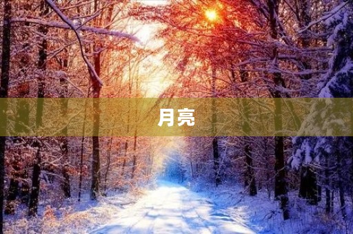  月亮，我的心头之爱 