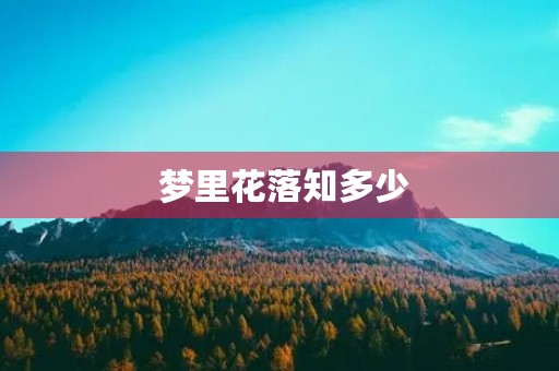  梦里花落知多少