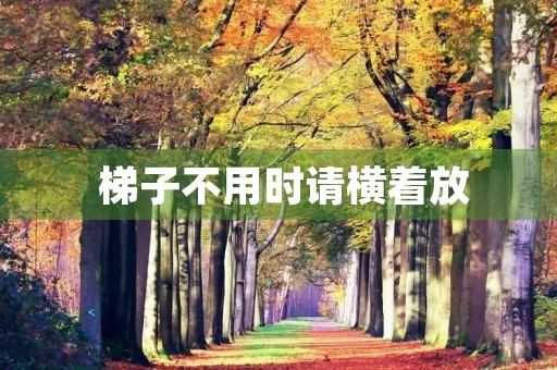 梯子不用时请横着放 梯子不用时请横着放
