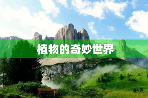 植物的奇妙世界 植物的奇妙世界