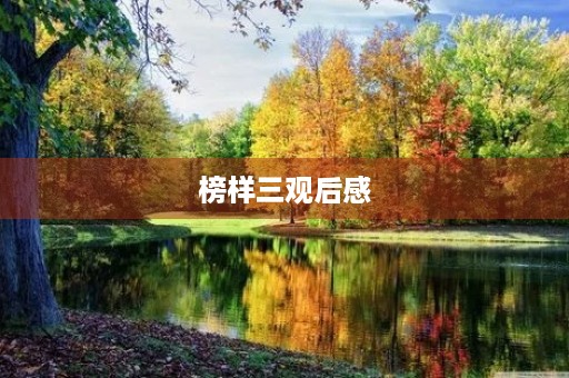  榜样三观后感 