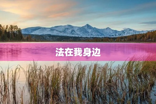 法在我身边,我是法律的守护者 法在我身边,我是法律的守护者