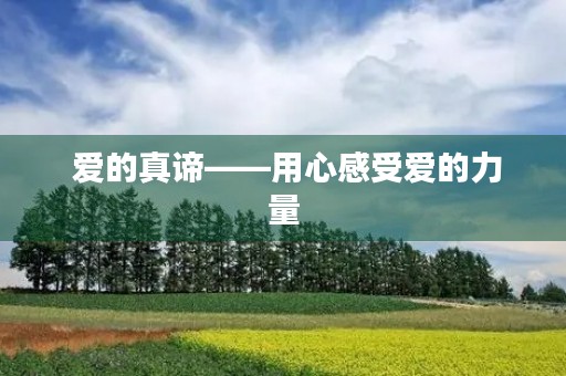 爱的真谛——用心感受爱的力量 爱的真谛——用心感受爱的力量