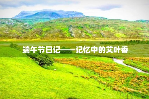 端午节日记——记忆中的艾叶香