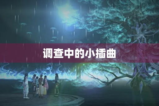  调查中的小插曲 