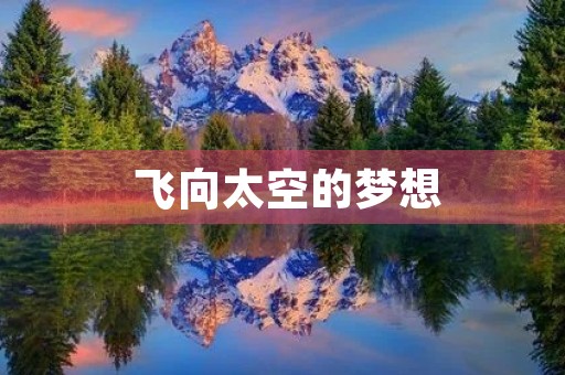 飞向太空的梦想 飞向太空的梦想