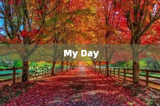 My Day My Day