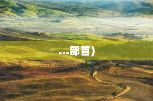 ...部首)(掠的拼音) ...部首)(掠的拼音)