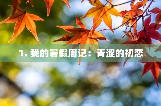 1. 我的暑假周记：青涩的初恋