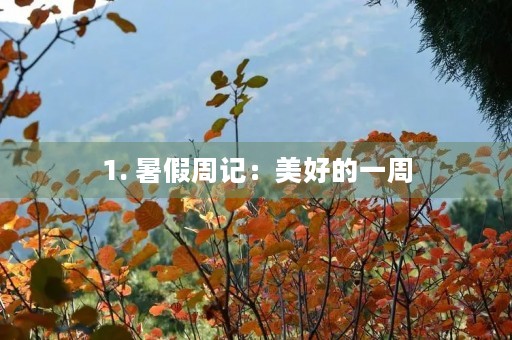 1. 暑假周记:美好的一周 1. 暑假周记:美好的一周