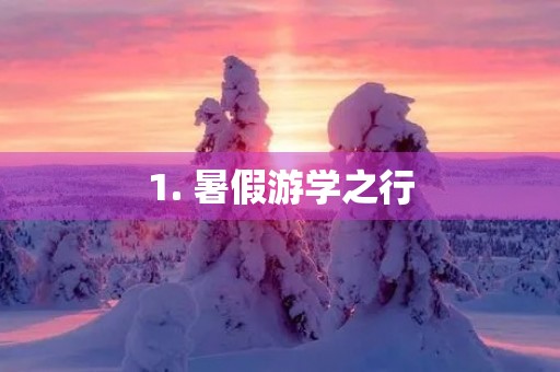 1. 暑假游学之行 1. 暑假游学之行