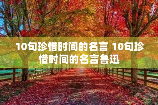 10句珍惜时间的名言 10句珍惜时间的名言鲁迅 10句珍惜时间的名言 10句珍惜时间的名言鲁迅