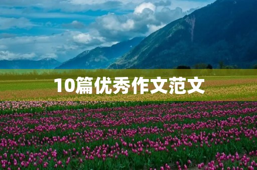 10篇优秀作文范文
