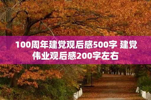 100周年建党观后感500字 建党伟业观后感200字左右