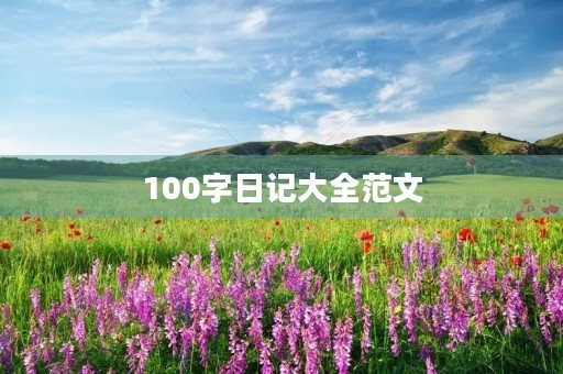 100字日记大全范文