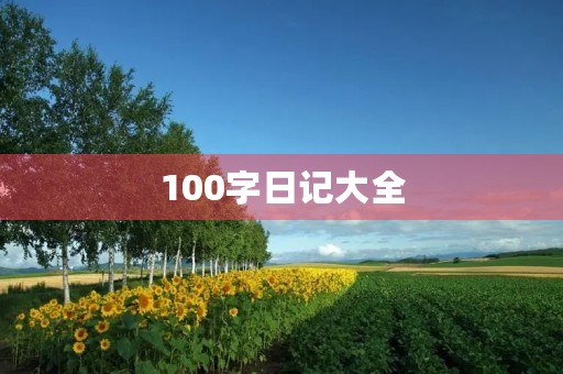 100字日记大全