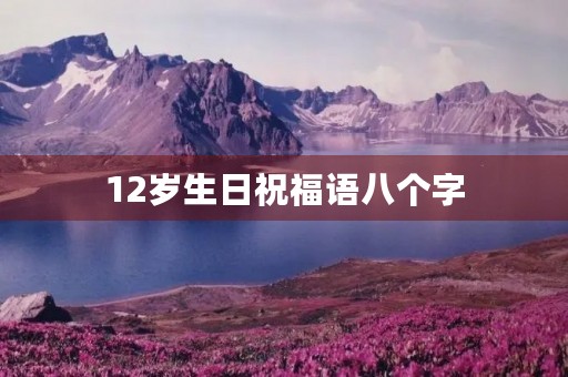 12岁生日祝福语八个字，十二岁生日最精辟寄语