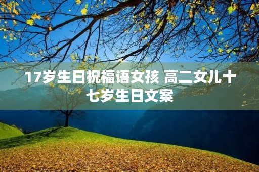 17岁生日祝福语女孩 高二女儿十七岁生日文案