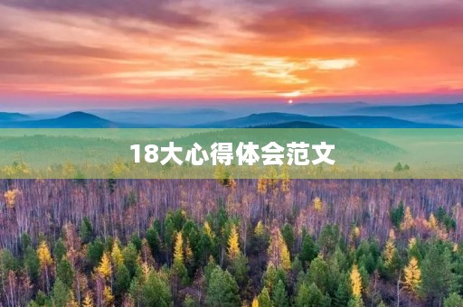 18大心得体会范文