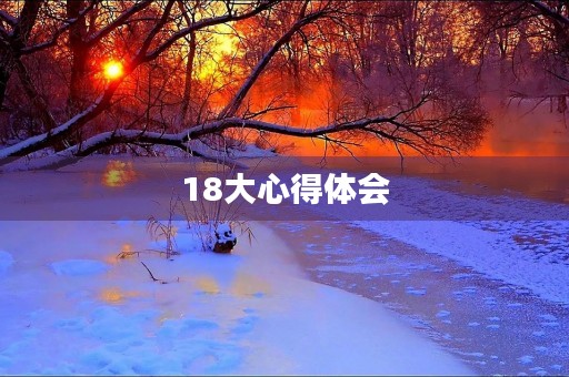 18大心得体会