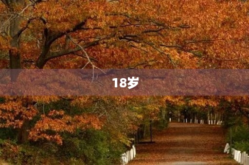 18岁,回忆曾经的承诺 18岁,回忆曾经的承诺
