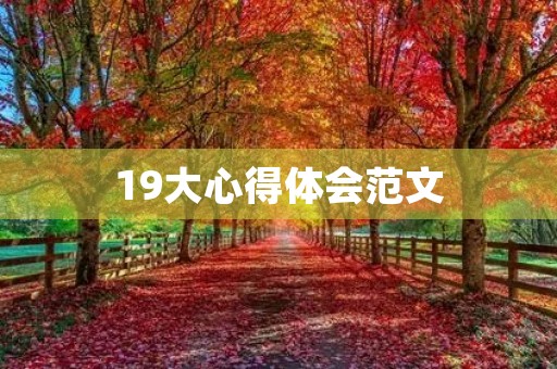 19大心得体会范文