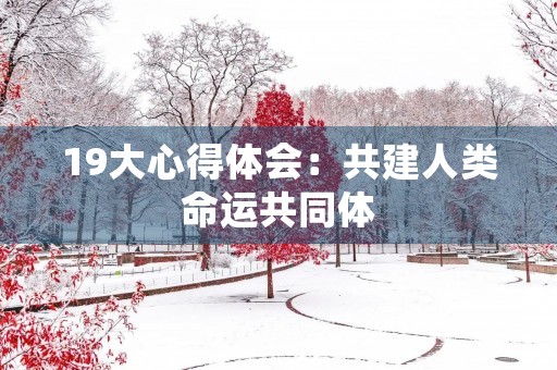 19大心得体会:共建人类命运共同体,推进经济全球化 19大心得体会:共建人类命运共同体,推进经济全球化