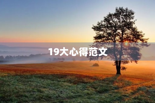 19大心得范文