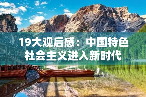 19大观后感：中国特色社会主义进入新时代