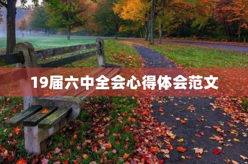 19届六中全会心得体会范文