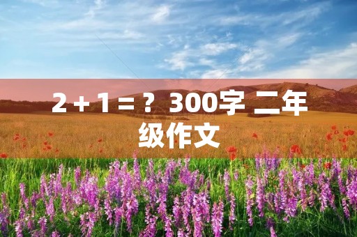 2＋1＝？300字 二年级作文
