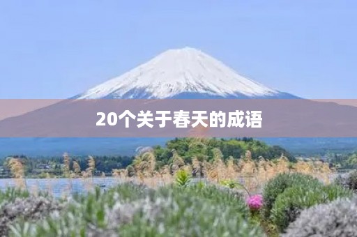 20个关于春天的成语
