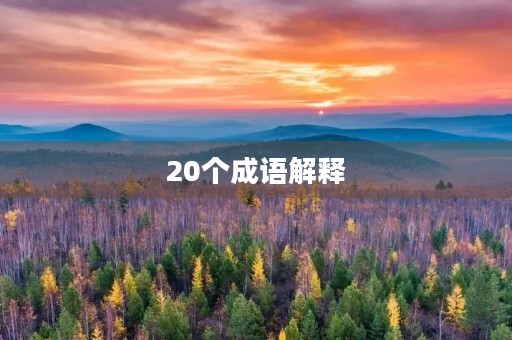 20个成语解释
