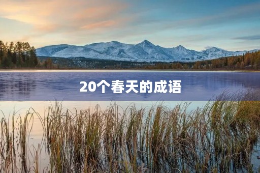 20个春天的成语