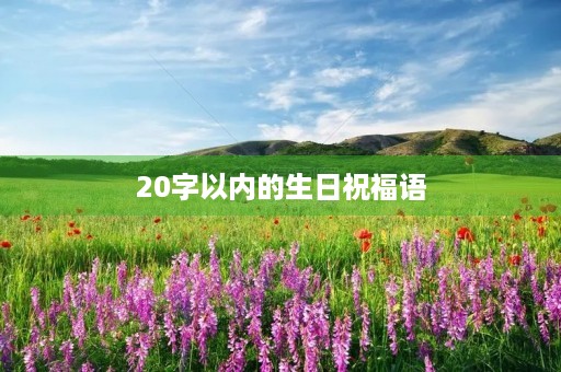 20字以内的生日祝福语(生日暖心20个字)