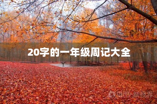 20字的一年级周记大全